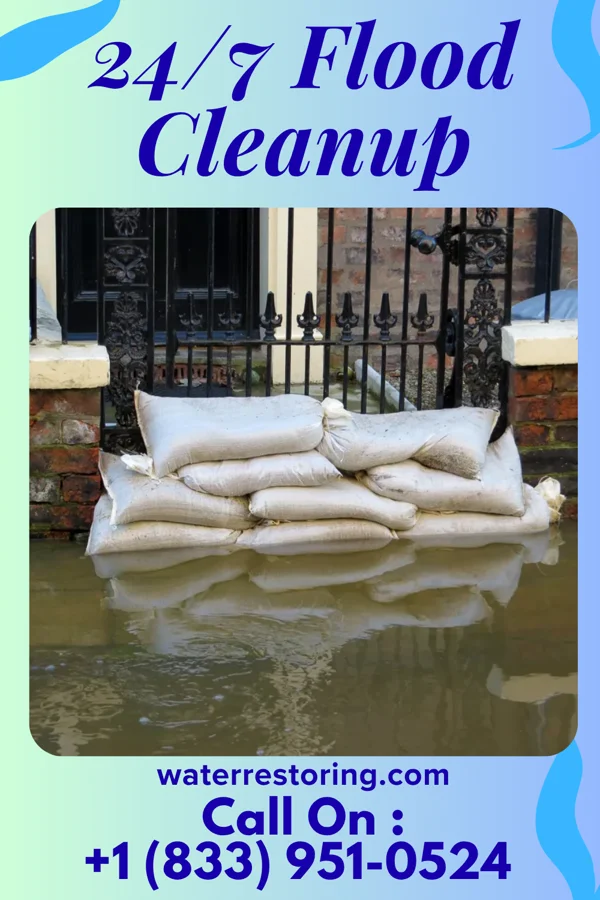 24/7 Flood Cleanup in Andrew, IA