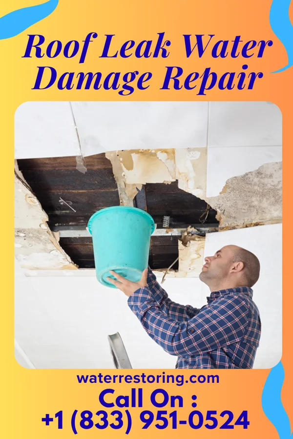 Roof Leak Water Damage Repair in Andrew, IA