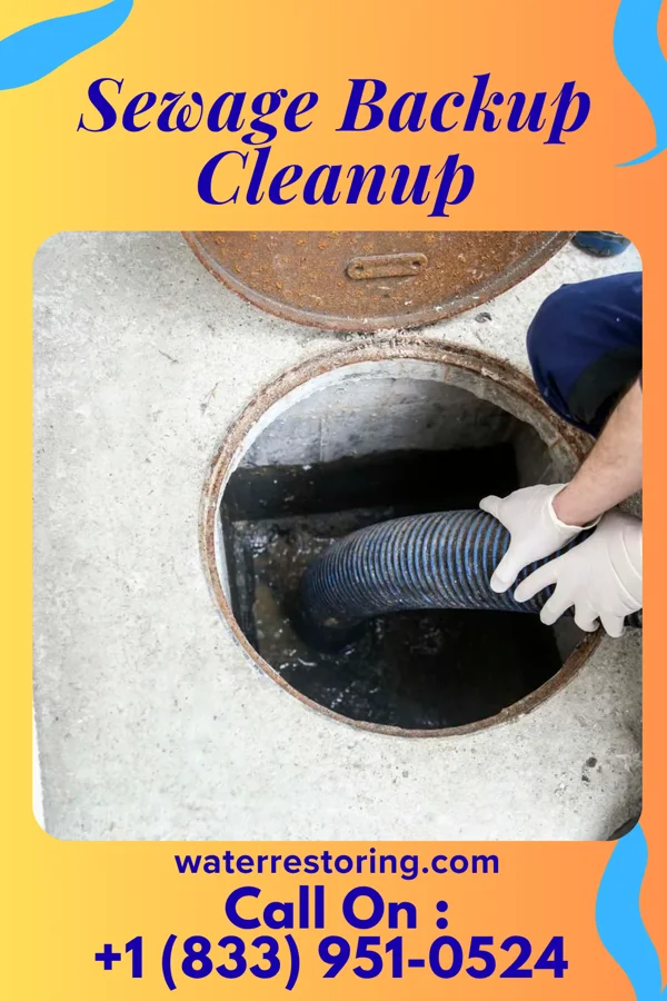 Sewage Backup Cleanup in Andrew, IA